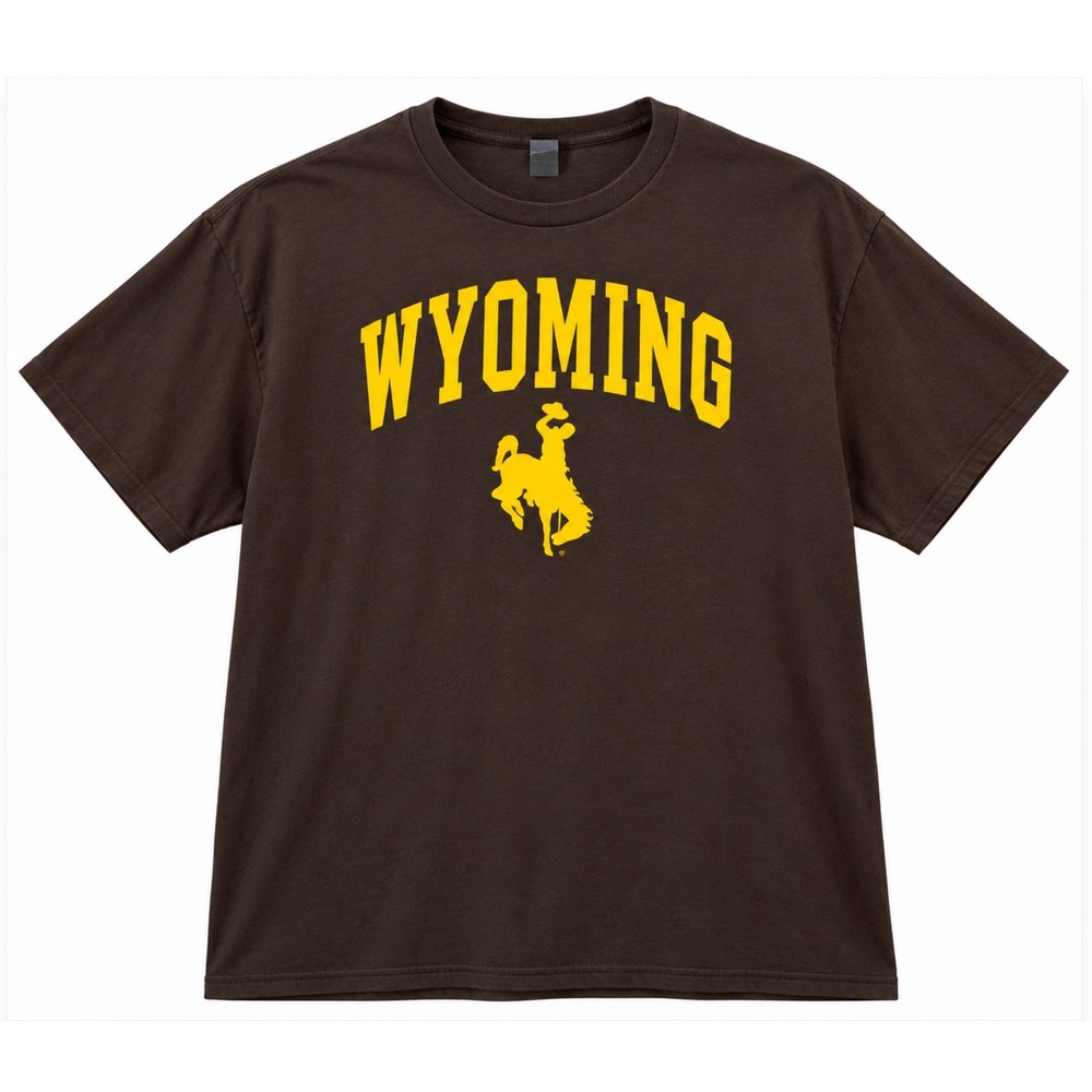 Gildan Wyoming T-Shirt 2XL Brown Graphic University Cowboy NCAA Gorpcore Tee